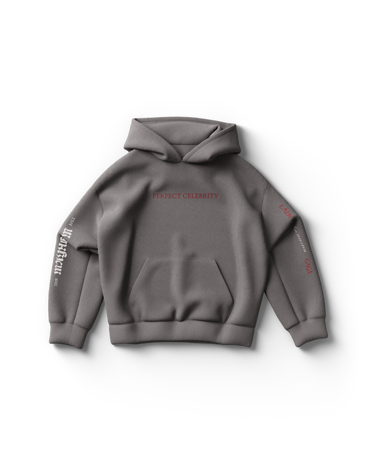 Perfect Celebrity Gray Hoodie Lady Gaga Official Store